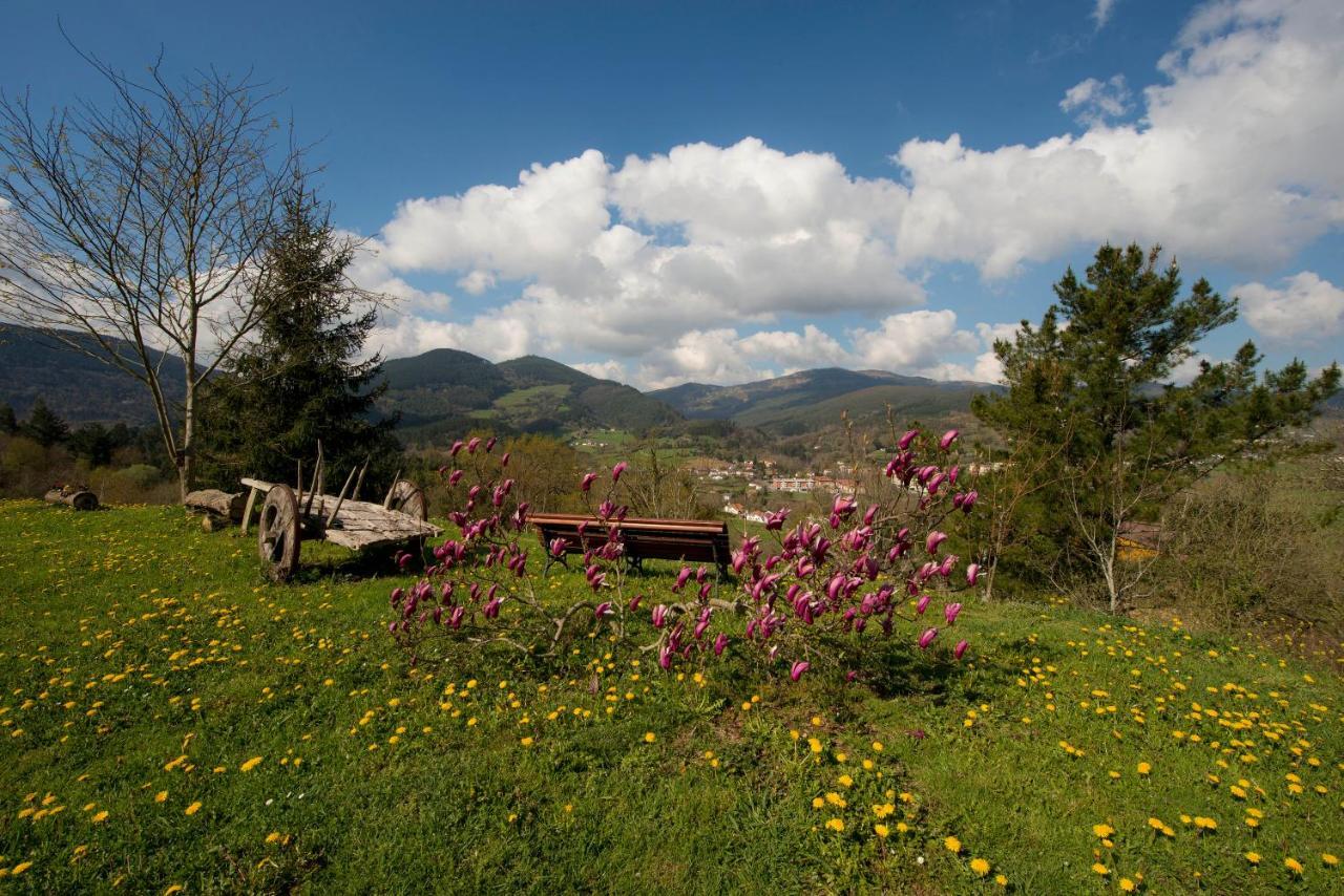 Apartamentos Turisticos Bizkar Bare Sopuerta Esterno foto